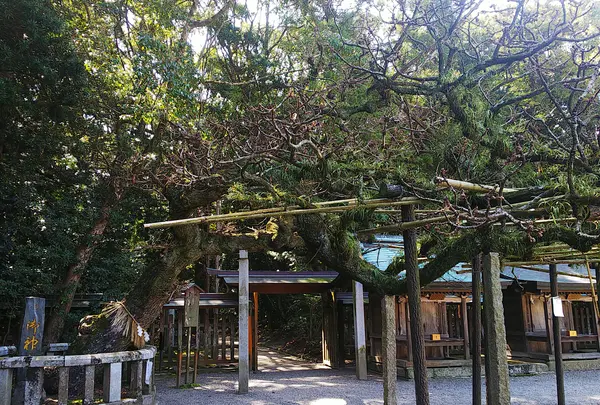 御神木