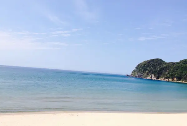 写真その1