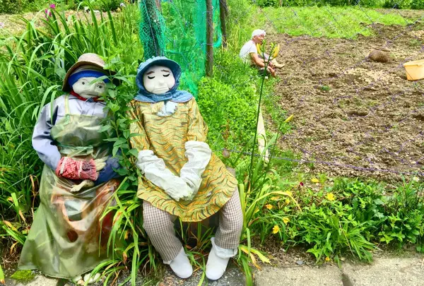 後ろは本物。楽しんでいる様子。