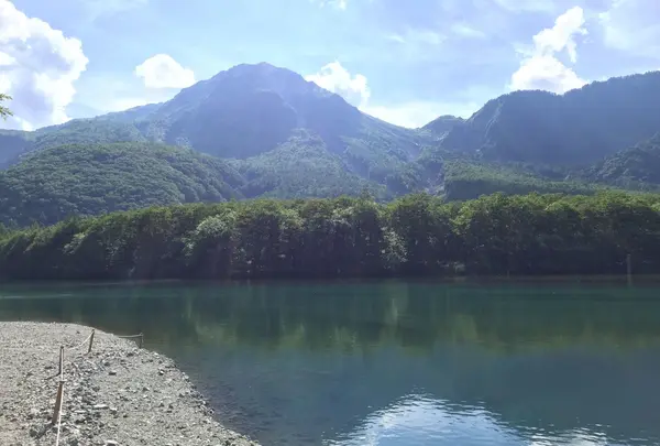大正池の写真・動画_image_36496