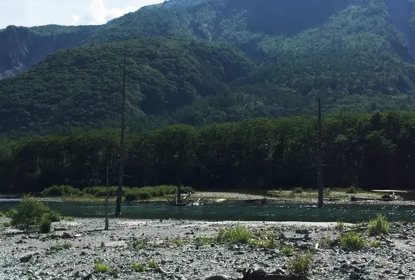 大正池の写真・動画_image_36497