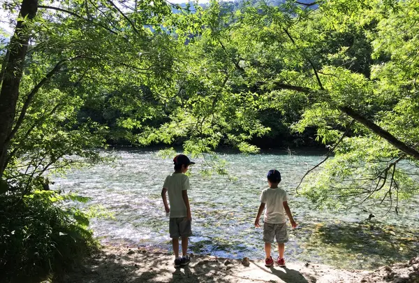 穂高橋・田代橋の写真・動画_image_36602