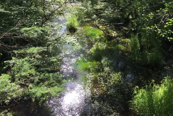 穂高橋・田代橋の写真・動画_image_36603