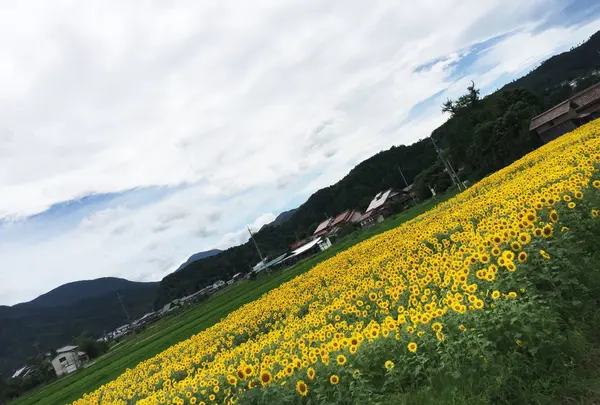 おまけ