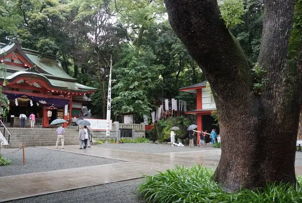 来宮神社