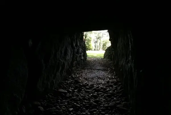 外の光が眩しい。