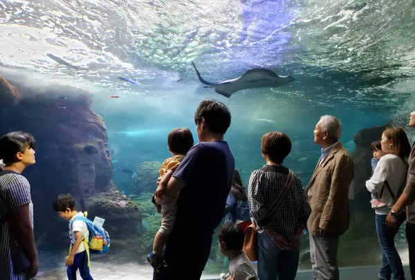 江ノ島水族館