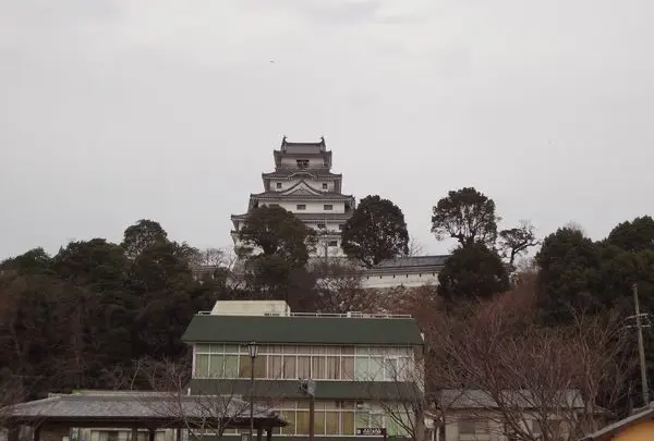 唐津城の写真・動画_image_3795