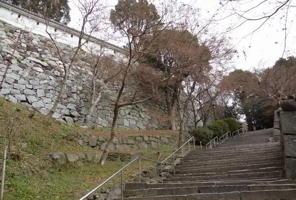 唐津城の写真・動画_image_3796