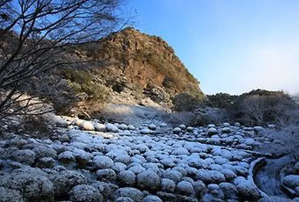 冬