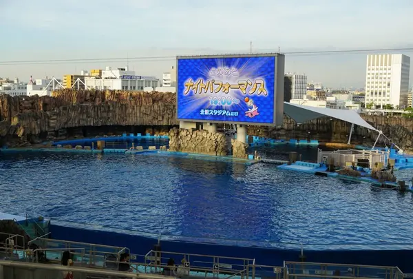 ナイトパフォーマンス！