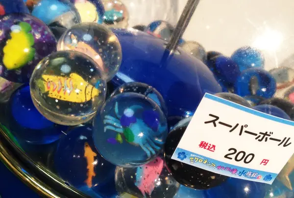 夢みなとタワーの写真・動画_image_38369