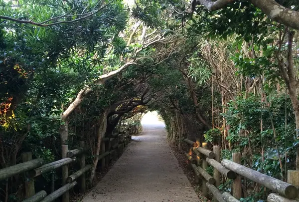 トンネル