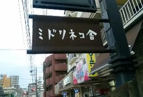 ミドリネコ舎の写真・動画_image_39206