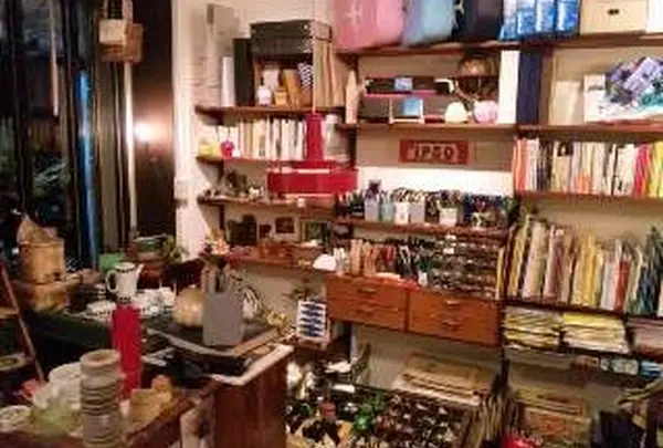 ミドリネコ舎の写真・動画_image_39208