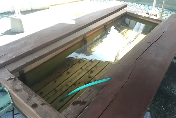 船小屋鉱泉場の写真・動画_image_39412