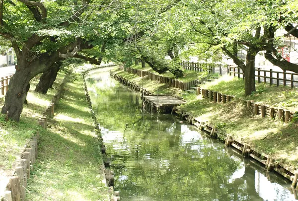 神社の裏にも素敵な空間が^^