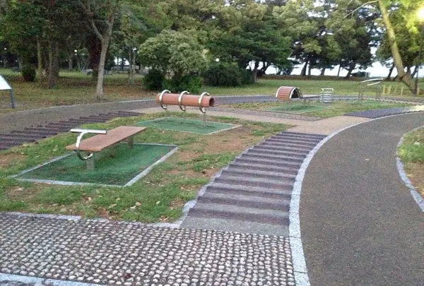 公園で健康づくり！？