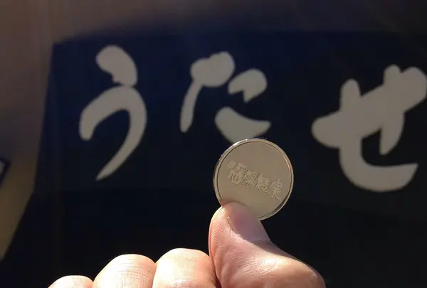 メダルを購入→入り口で投入して中へ