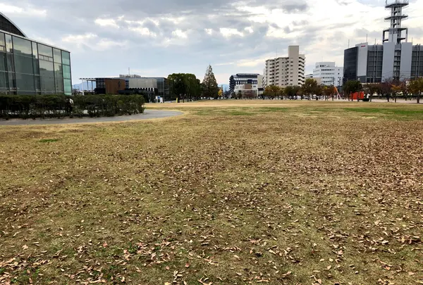 公園