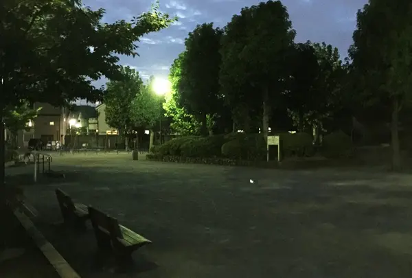 公園
