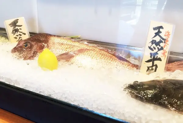 地魚