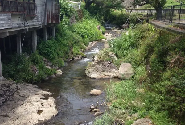 きれいな小川