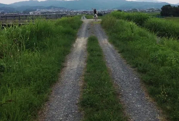 トロッコ亀岡駅観光案内所の写真・動画_image_40257