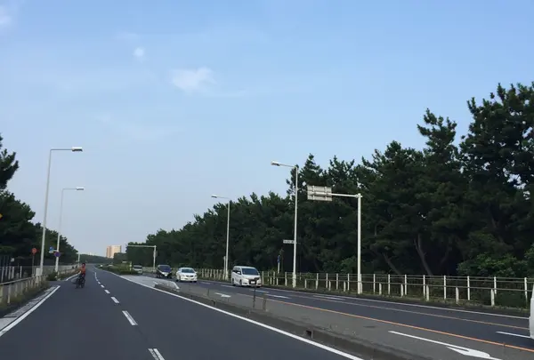 パシフィックガーデン茅ヶ崎の写真・動画_image_40305