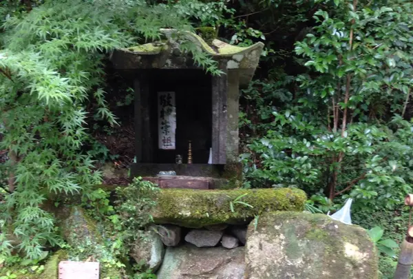 日向神ダム湖の写真・動画_image_40725