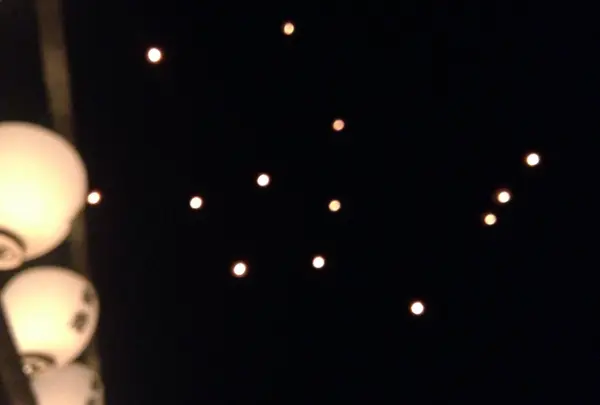 大淵献灯祭の写真・動画_image_40728