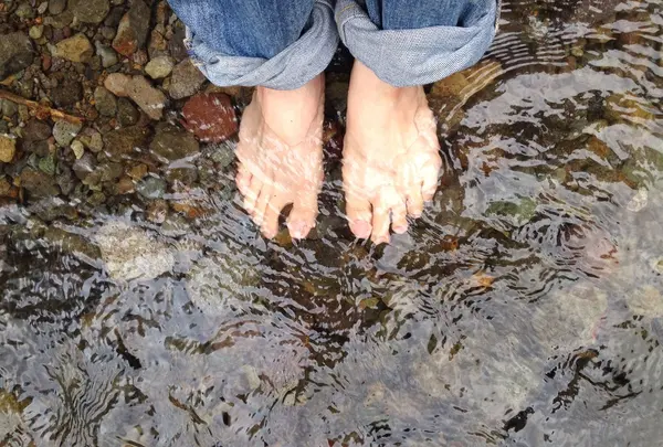 平地との温度差10度♫