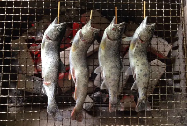 釣ったら食べよ！