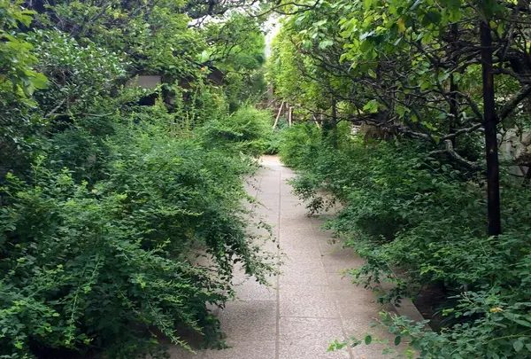 参道