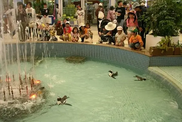 噴水にはペンギンが