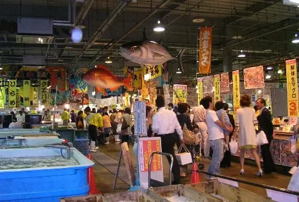 お魚がいっぱい！