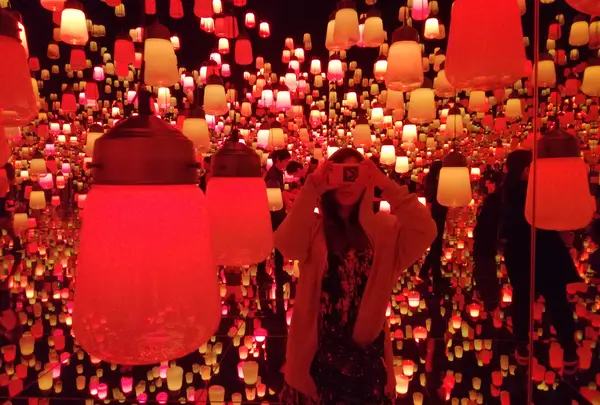 【閉業】森ビルデジタルアートミュージアム：エプソン チームラボボーダレス（MORI Building Digital Art Museum: EPSON teamLab Borderless）の写真・動画_image_416564