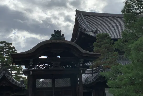 妙心寺の写真・動画_image_419219