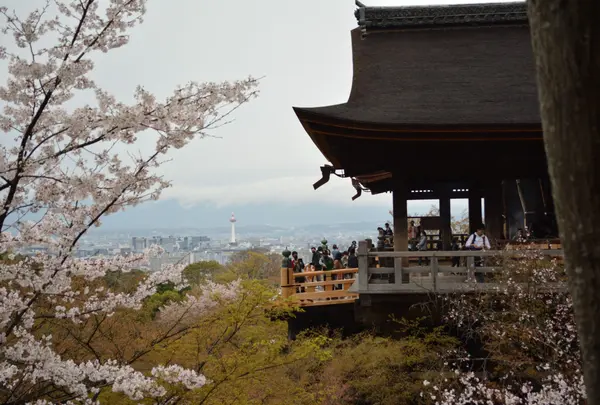 清水寺の舞台から飛び降りる