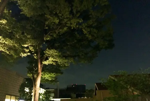 夜