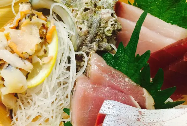 小田原さかなセンターの写真・動画_image_42797