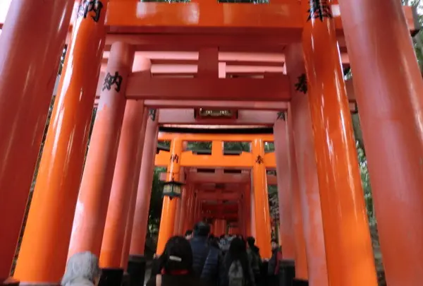 千本鳥居