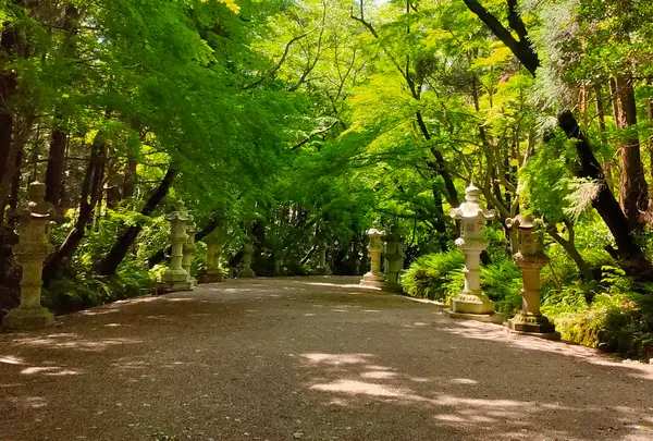 香取神宮の写真・動画_image_428793