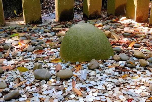 香取神宮の写真・動画_image_430196