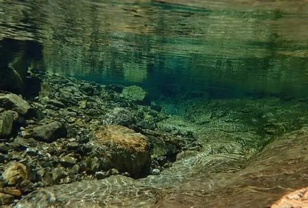 三里河原の沢の中