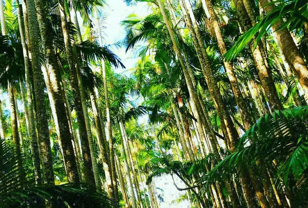 東南植物楽園の写真・動画_image_431472