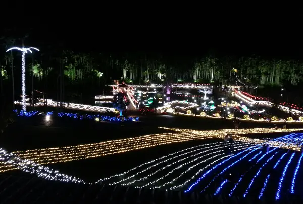 東南植物楽園の写真・動画_image_431480