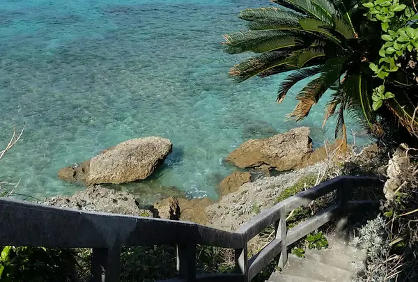 階段を降りれます