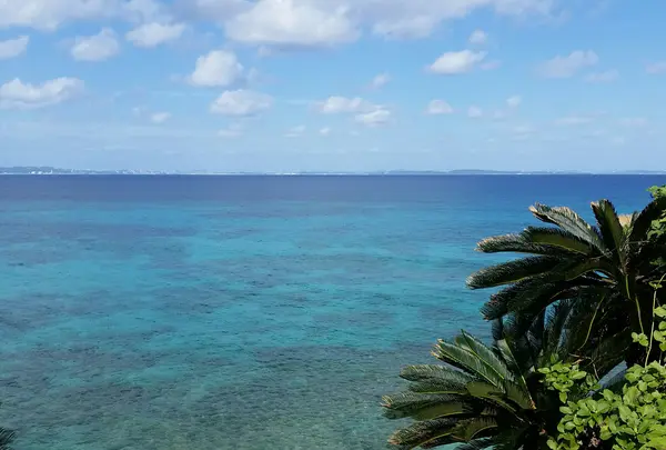 一面に広がる海