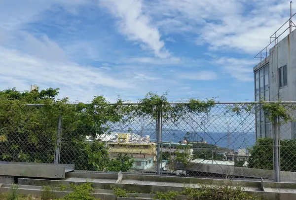 CLUB SHANGRILAの写真・動画_image_433233